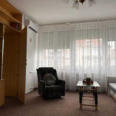 Cozy Apartment In The City Centre Next To Dom Square 塞格德 外观 照片