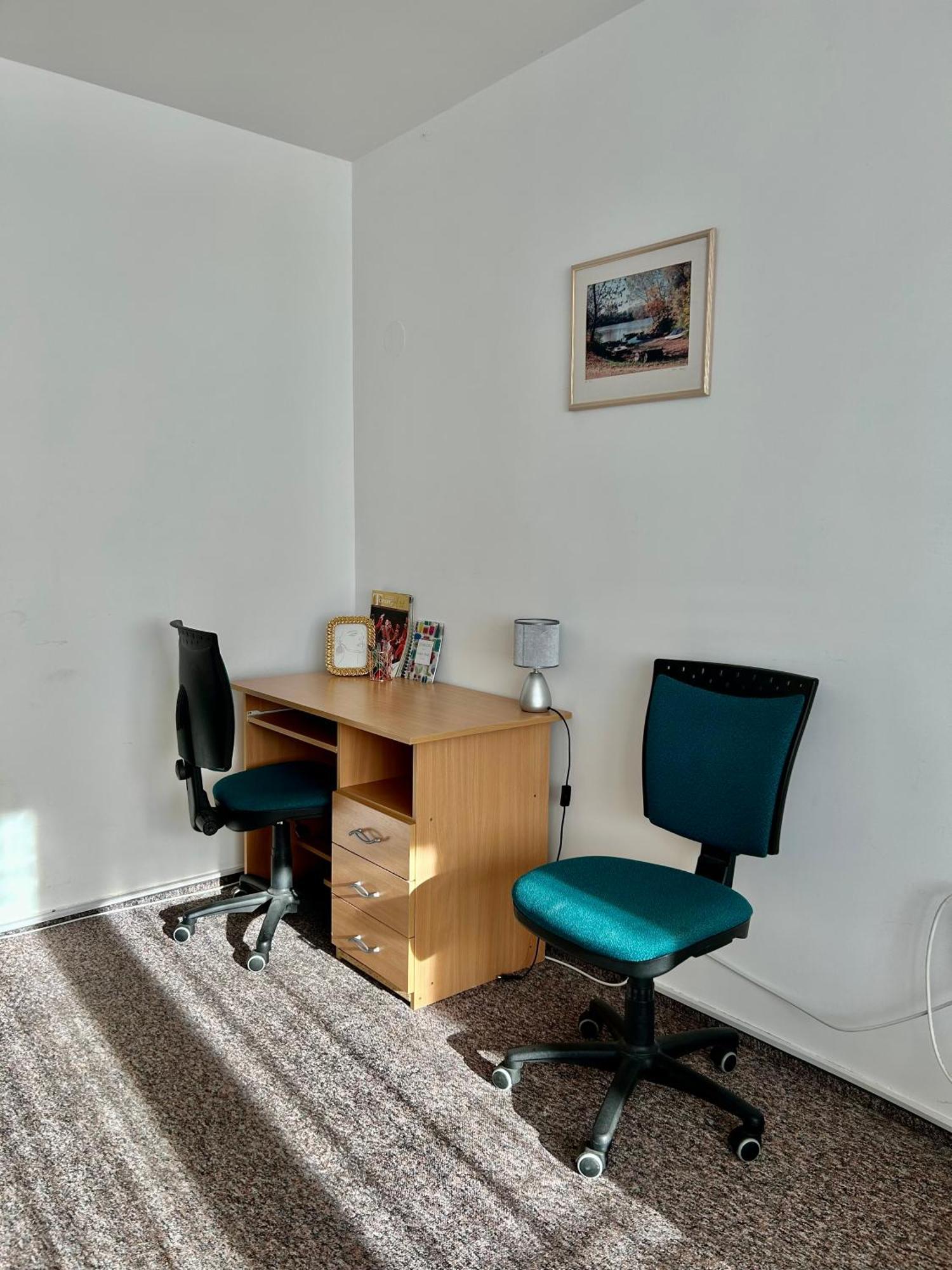 Cozy Apartment In The City Centre Next To Dom Square 塞格德 外观 照片