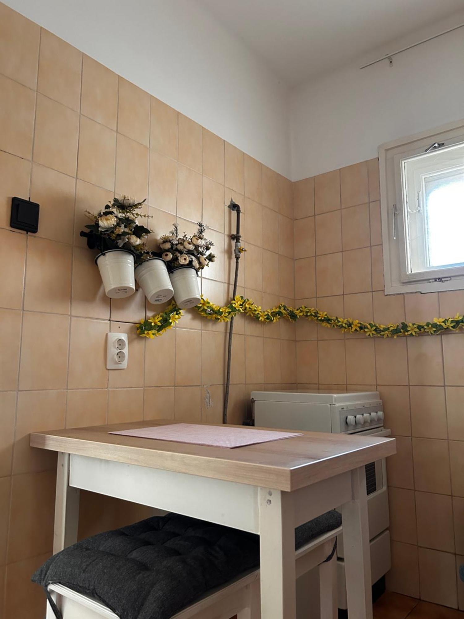 Cozy Apartment In The City Centre Next To Dom Square 塞格德 外观 照片